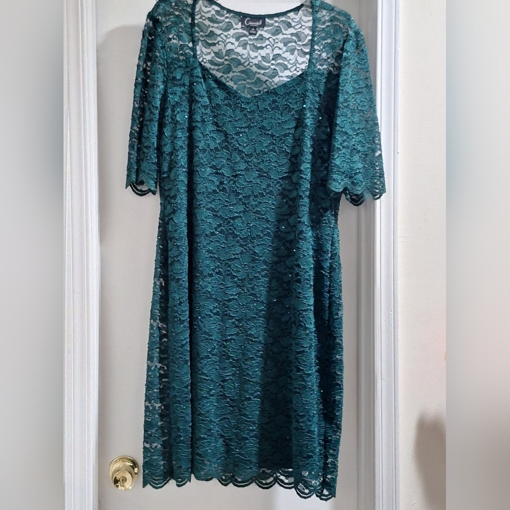 Hunter Green Dress 16 Misses NEW